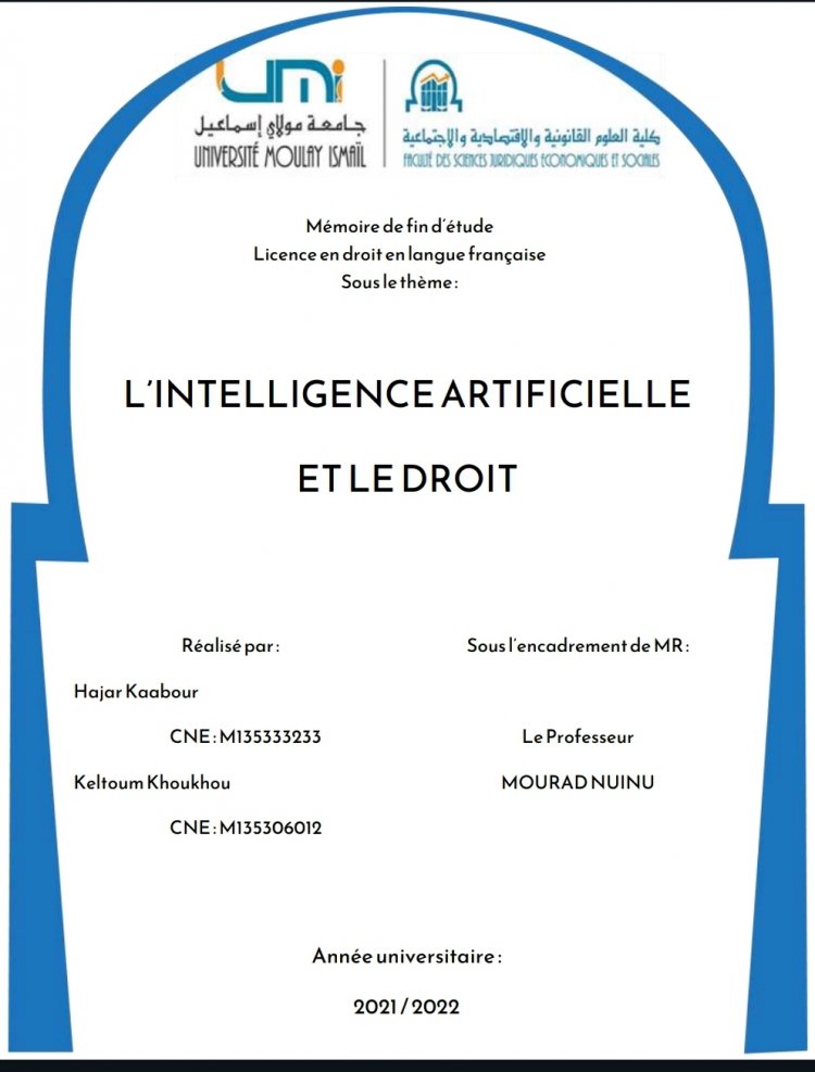 Pfe sur l'intelligence artificielle et le droit