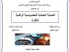 رسالة لنيل شهادة الماستر في القانون الخاص  في موضوع :  الحماية الجنائية للخصوصية الرقمية للأفراد
