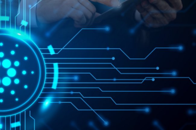 الكتاب الأبيض الإدارة الرقمية بالمغرب أكتوبر 2023