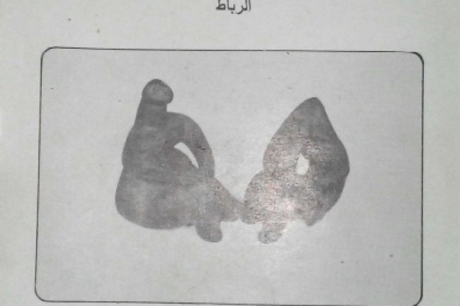 كتاب جريمة الفساد