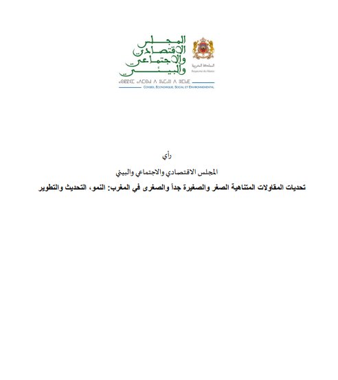 تقرير المجلس الاقتصادي والاجتماعي والبيئي حول تحديات المقاولات المتناهية الصغر والصغيرة جداً والصغرى في المغرب: النمو، التحديث والتطوير