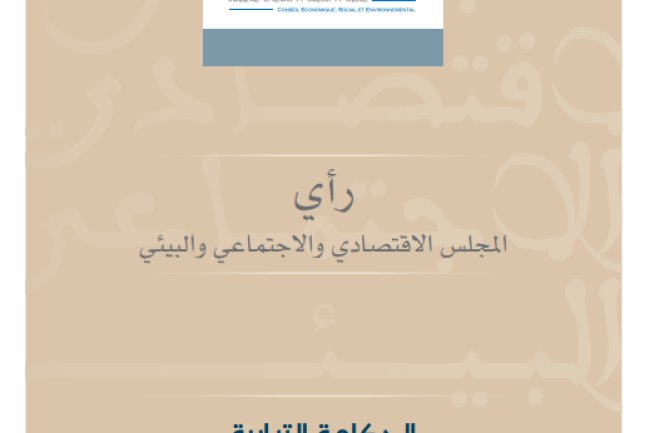  الحكامة الترابية رافعة للتنمية المنصفة والمستدامة - المجلس الاقتصادي والاجتماعي والبيئي
